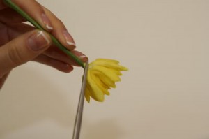 георгин цветок из полимерной глины